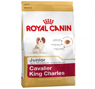 Royal Canin Cavalier King Charles Junior 1.5 kg Köpek Maması kullananlar yorumlar